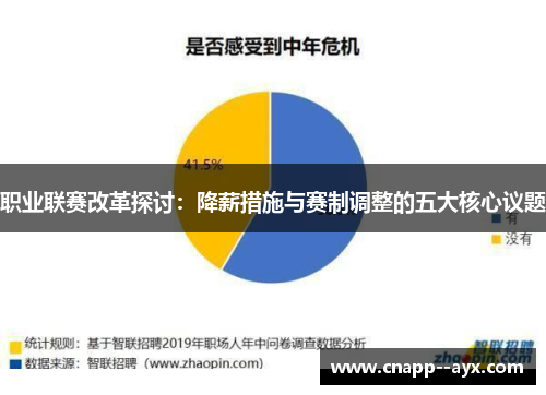 职业联赛改革探讨:降薪措施与赛制调整的五大核心议题 职业联赛改革探讨:降薪措施与赛制调整的五大核心议题