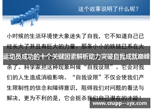 运动员成功的十个关键因素解析助力突破自我成就巅峰